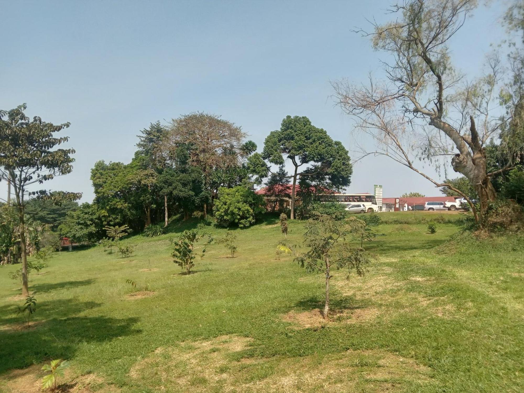 Mowicribs Hotel And Spa Entebbe Rum bild