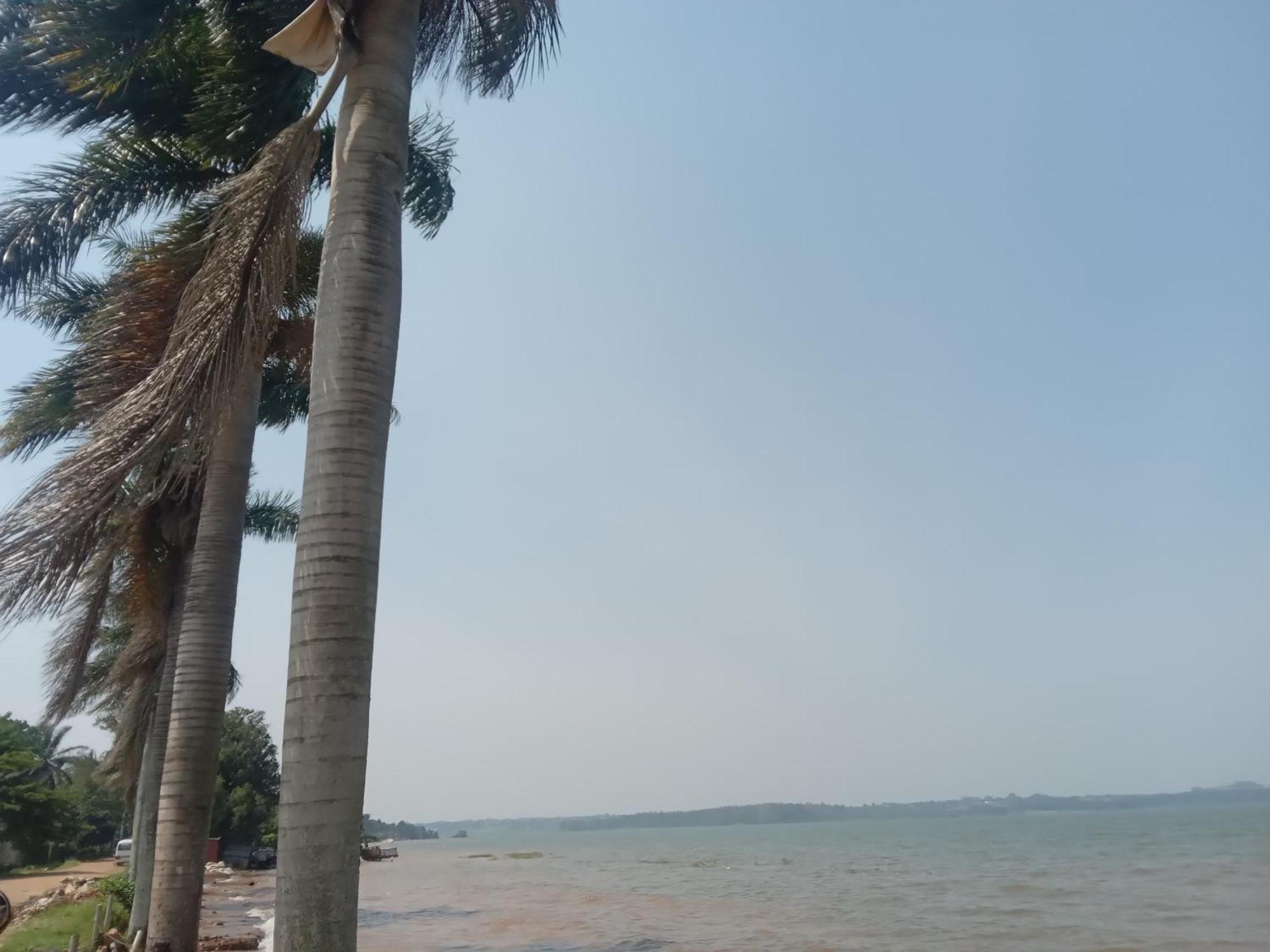 Mowicribs Hotel And Spa Entebbe Exteriör bild