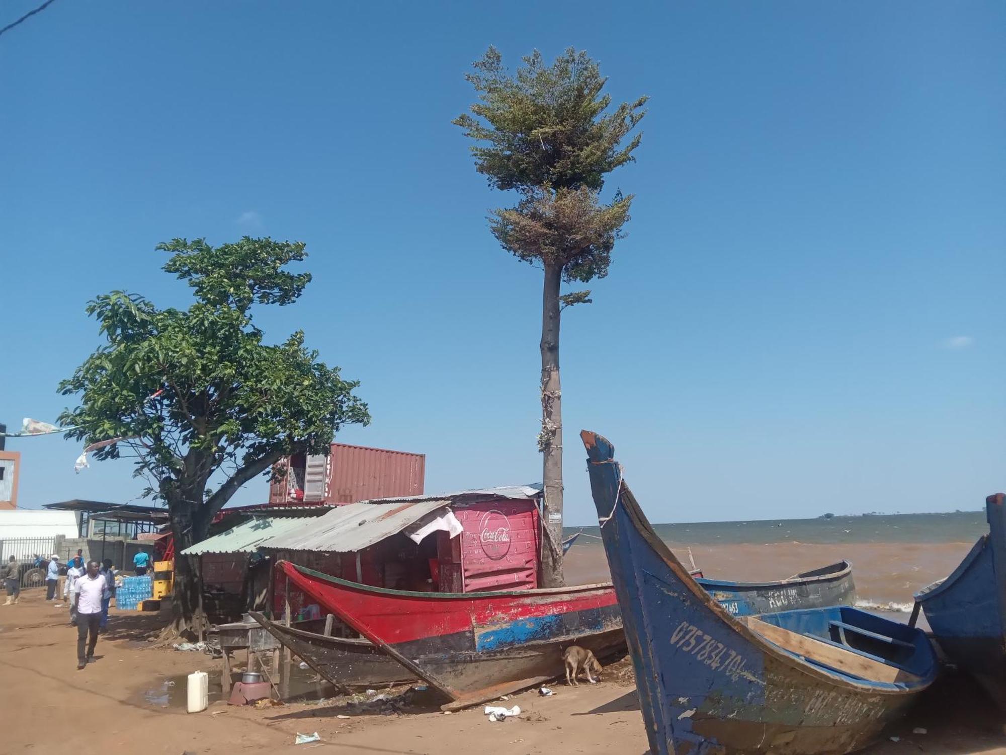 Mowicribs Hotel And Spa Entebbe Rum bild